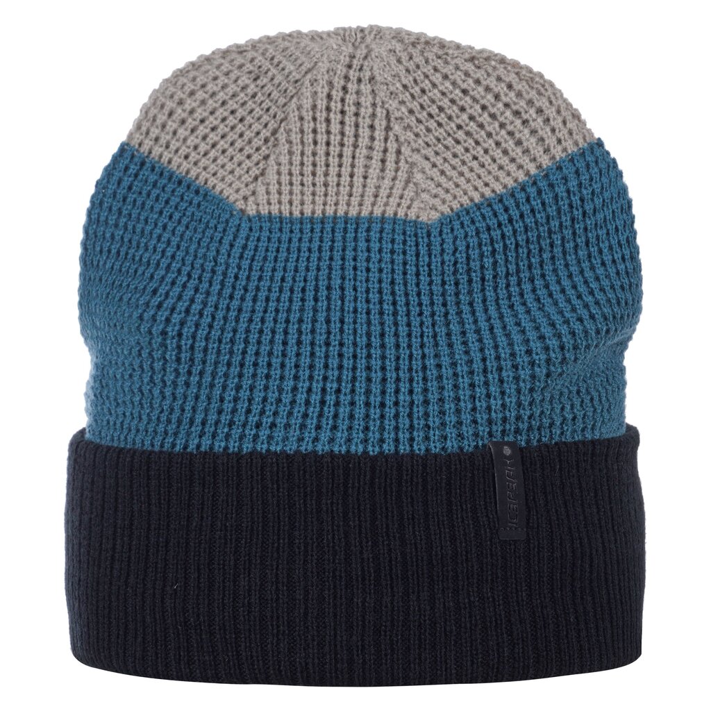 Icepeak kepurė mergaitėms Hesston 6438549177978, mėlyna kaina ir informacija | Kepurės, pirštinės, šalikai berniukams | pigu.lt