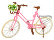 Lėlė Emily su rožiniu dviračiu ir šalmu kaina ir informacija | Žaislai mergaitėms | pigu.lt