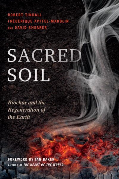 Sacred Soil: Biochar and the Regeneration of the Earth цена и информация | Socialinių mokslų knygos | pigu.lt