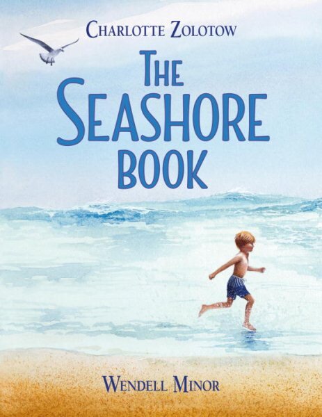 Seashore Book цена и информация | Knygos paaugliams ir jaunimui | pigu.lt