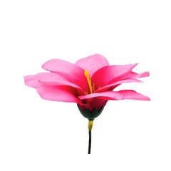 Dirbtinė gėlė lelijos žiedas, 10 vnt. kaina ir informacija | Dirbtinės gėlės | pigu.lt