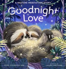 Goodnight Love: A Bedtime Meditation Story цена и информация | Книги для самых маленьких | pigu.lt