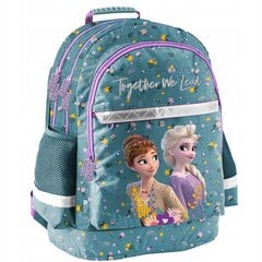 Mokyklinė kuprinė Paso Frozen DF23XX-116, 22 l, 42x29x16 cm цена и информация | Школьные рюкзаки, спортивные сумки | pigu.lt