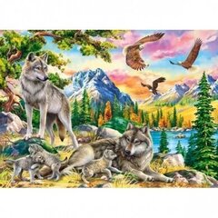 Dėlionė Castorland Wolf Family and Eagles 300 det. kaina ir informacija | Dėlionės (puzzle) | pigu.lt