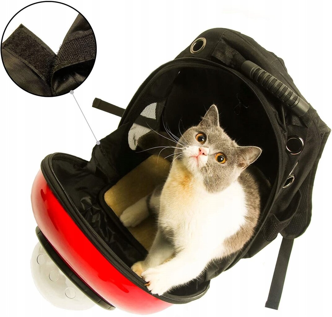 Katės transportavimo krepšys, 30x22 cm цена и информация | Transportavimo narvai, krepšiai | pigu.lt