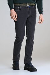Мужские джинсы Portofino Jeans - 731MASS цена и информация | Mужские джинсы Only & Sons Loom 5714910844399 | pigu.lt