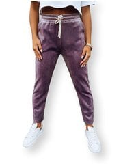 Laisvalaikio kelnės moterims Astro UY1660-52187, violetinės kaina ir informacija | Sportinė apranga moterims | pigu.lt