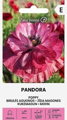 Birulės aguonos Pandora цена и информация | Семена цветов | pigu.lt