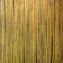 Bambukinė tvora Home4You In Garden, 2x3m kaina ir informacija | Tvoros ir jų priedai | pigu.lt
