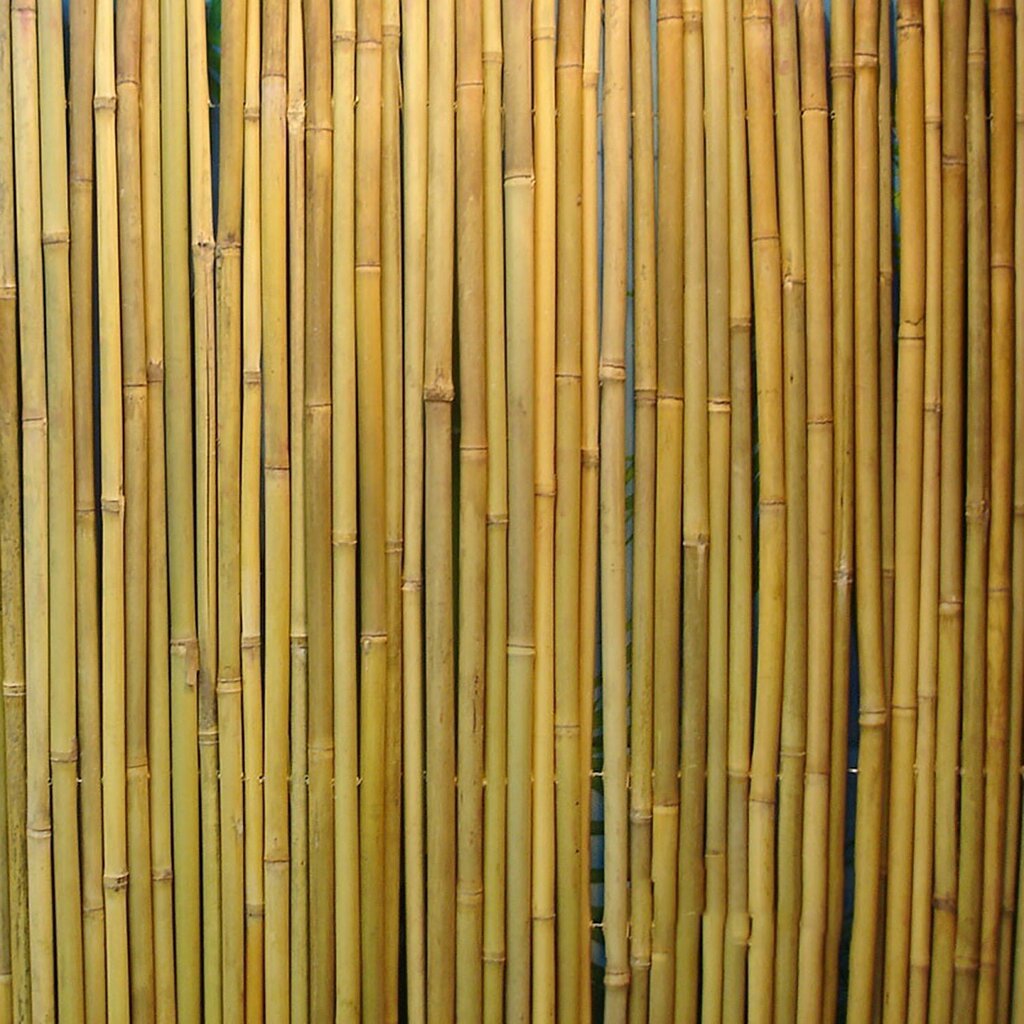 Bambukinė tvora Home4You In garden, 1x3m kaina ir informacija | Tvoros ir jų priedai | pigu.lt