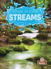 Streams цена и информация | Книги для подростков и молодежи | pigu.lt