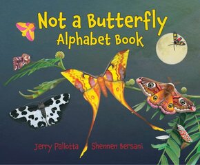 Not a Butterfly Alphabet Book kaina ir informacija | Knygos paaugliams ir jaunimui | pigu.lt