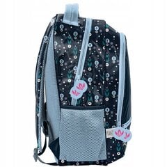 Mokyklinė kuprinė Paso Frozen DF23LL-260, 18 l, 41x31x15 cm цена и информация | Школьные рюкзаки, спортивные сумки | pigu.lt