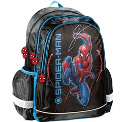 Mokyklinė kuprinė Paso Spiderman SP23PA-081, 22 l, 41x30x18 cm цена и информация | Школьные рюкзаки, спортивные сумки | pigu.lt