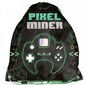 Mokyklinė kuprinė su priedais Paso Minecraft PP23HL-116, 3 d.ių kaina ir informacija | Kuprinės mokyklai, sportiniai maišeliai | pigu.lt