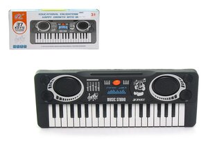 Vaikų elektroninis pianinas Jin kaina ir informacija | Lavinamieji žaislai | pigu.lt