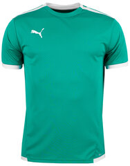 Marškinėliai vyrams Puma teamLiga Jersey 704917 05, žali цена и информация | Мужские футболки | pigu.lt