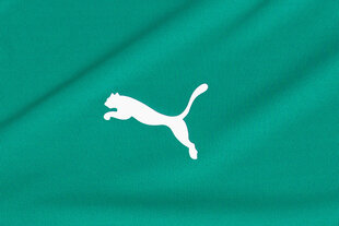 Marškinėliai vyrams Puma teamLiga Jersey 704917 05, žali цена и информация | Мужские футболки | pigu.lt