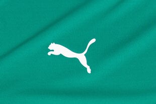 Marškinėliai vyrams Puma teamLiga Jersey 704917 05, žali kaina ir informacija | Vyriški marškinėliai | pigu.lt