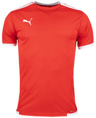 Marškinėliai vyrams Puma teamLiga Jersey 704917 01, raudoni kaina ir informacija | Vyriški marškinėliai | pigu.lt