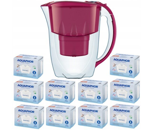 Aquaphor Amethyst, 10 vnt. kaina ir informacija | Vandens filtrai | pigu.lt