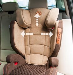 Автомобильное кресло Coletto Avanti 15-36 кг, коричневое цена и информация | Автокресла | pigu.lt