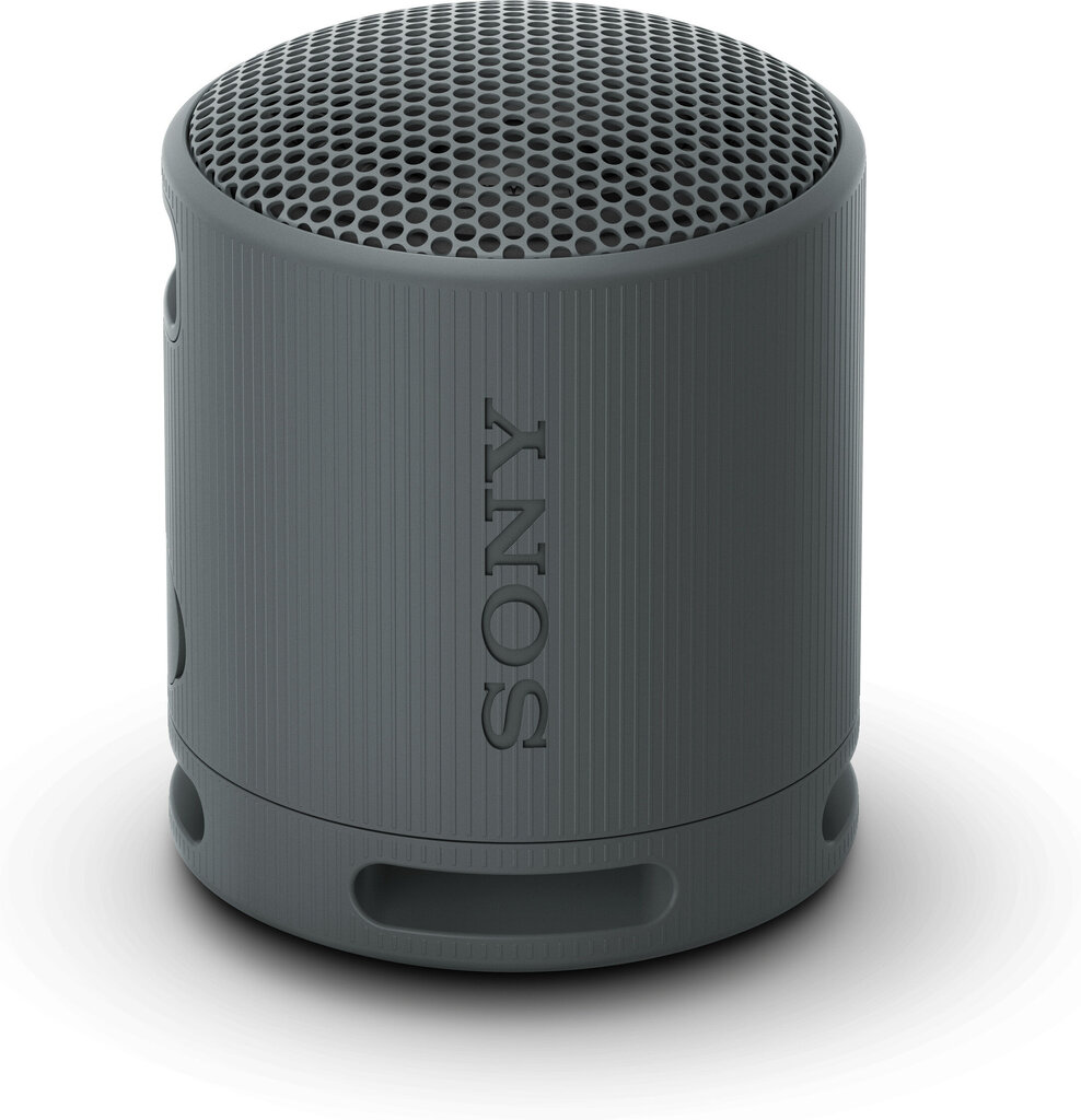 Sony SRSXB100B.CE7 kaina ir informacija | Garso kolonėlės | pigu.lt