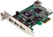 StarTech PCIe for 4 ports USB (PEXUSB4DP) цена и информация | Korpusų priedai | pigu.lt