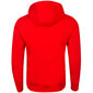 Tommy Hilfiger džemperis vyrams, raudonas цена и информация | Džemperiai vyrams | pigu.lt