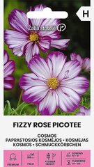 Paprastosios kosmėjos Fizzy Rose Picotee Žalia stotelė цена и информация | Семена цветов | pigu.lt