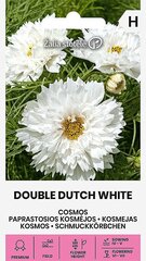 Paprastosios kosmėjos Double Dutch White Žalia stotelė цена и информация | Семена цветов | pigu.lt