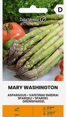 Vaistiniai smidrai Mary Washington Žalia stotelė kaina ir informacija | Daržovių, uogų sėklos | pigu.lt