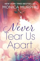 Never Tear Us Apart: Never Series 1 kaina ir informacija | Fantastinės, mistinės knygos | pigu.lt