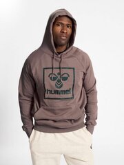 Блуза terry 2.0 hoodie цена и информация | Мужские толстовки | pigu.lt