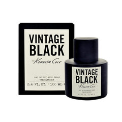 Туалетная вода Kenneth Cole Vintage Black EDT для мужчин 100 мл цена и информация | Мужские духи | pigu.lt