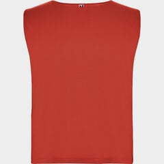 Marškinėliai vaikams Roly Ajax Kids, raudoni kaina ir informacija | Marškinėliai berniukams | pigu.lt