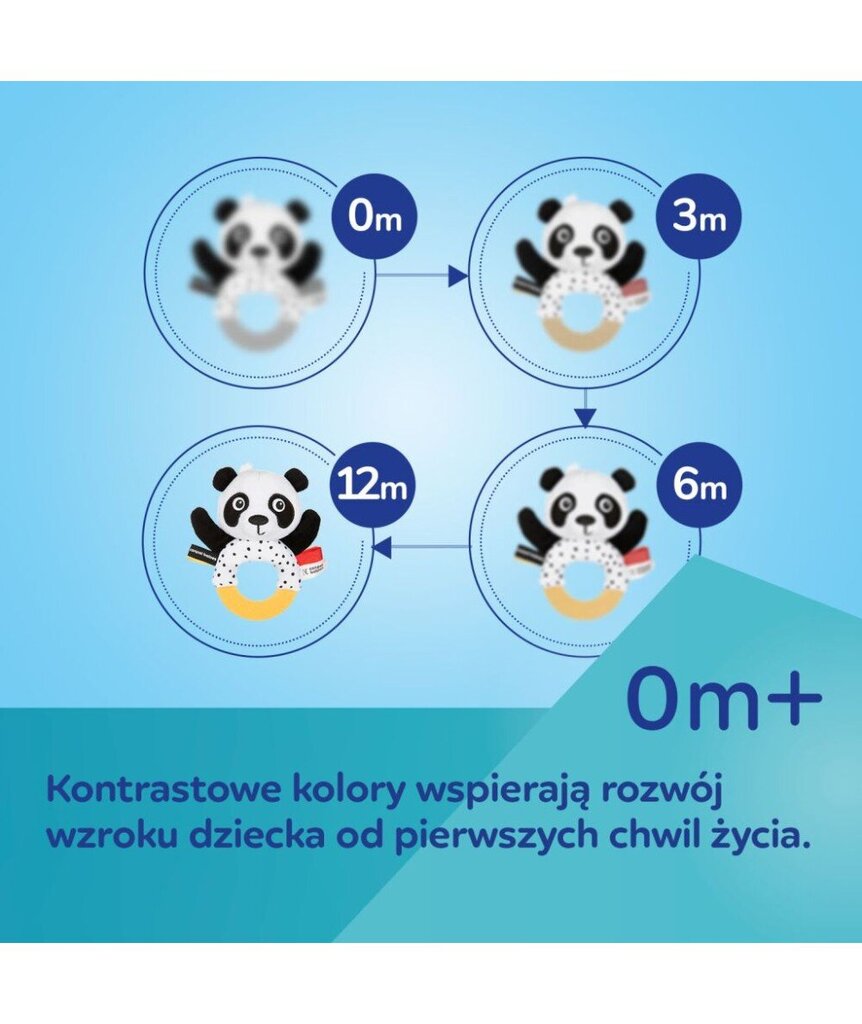 Bluetooth karuselė Canpol kaina ir informacija | Žaislai kūdikiams | pigu.lt