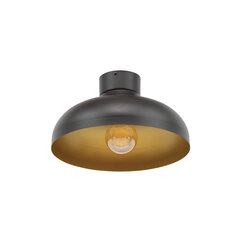 Потолочный светильник Desolo цена и информация | Потолочные светильники | pigu.lt