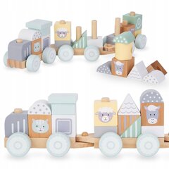 Деревянный поезд цена и информация | Игрушки для малышей | pigu.lt