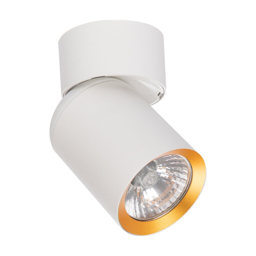 Eko-light lubinis šviestuvas kaina ir informacija | Lubiniai šviestuvai | pigu.lt