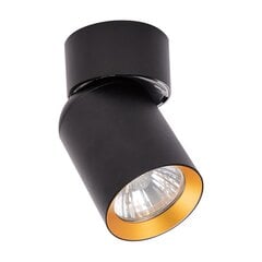 скрытый потолочный светильник цена и информация | Потолочные светильники | pigu.lt