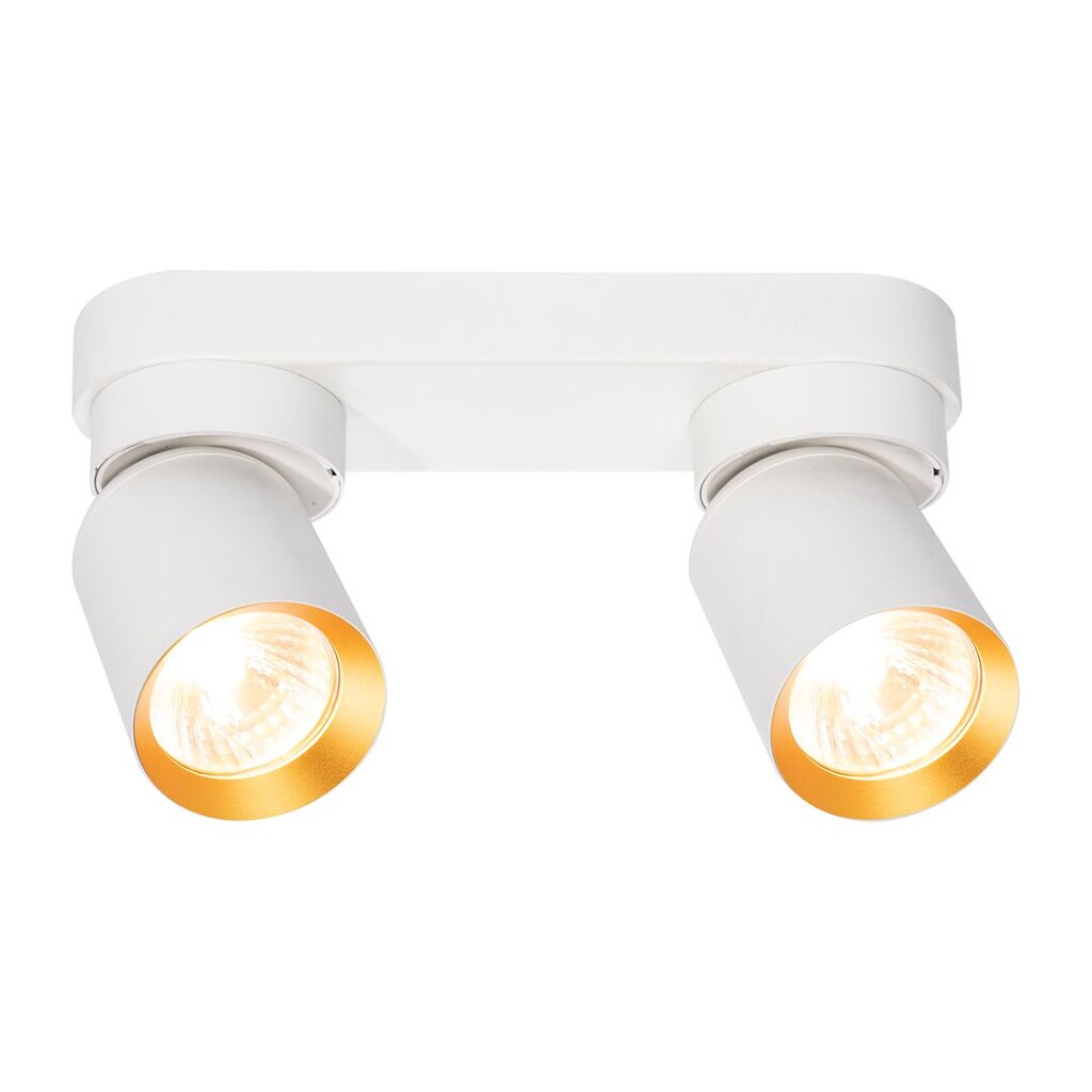Eko-light lubinis šviestuvas, baltas цена и информация | Lubiniai šviestuvai | pigu.lt