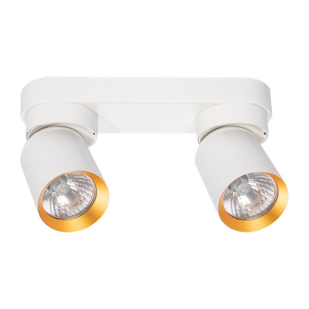 Eko-light lubinis šviestuvas, baltas цена и информация | Lubiniai šviestuvai | pigu.lt