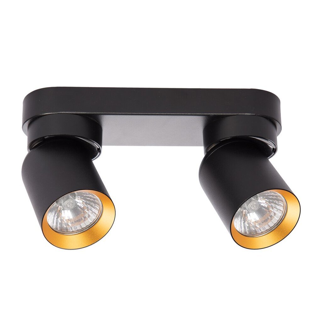 Eko-light lubinis šviestuvas, juodas kaina ir informacija | Lubiniai šviestuvai | pigu.lt