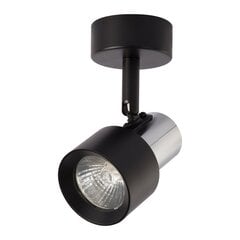 Потолочный светильник Milagro цена и информация | Потолочные светильники | pigu.lt