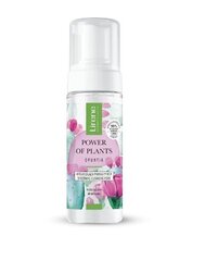 Veido valymo putos Lirene Power of plants, 150 ml kaina ir informacija | Veido prausikliai, valikliai | pigu.lt