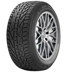 KORMORAN SNOW 195/55R16 87H цена и информация | Зимняя резина | pigu.lt