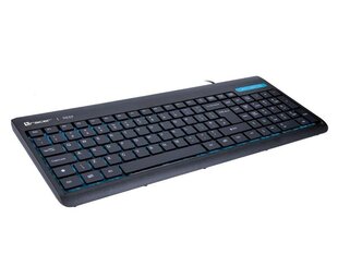 Клавиатура Tracer TRAKLA4523 keyboard USB QWERTY Black цена и информация | Клавиатуры | pigu.lt