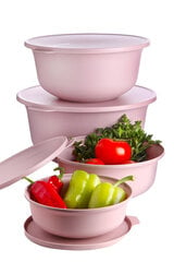 Hermia Concept Erika maisto saugojimo indų rinkinys, 4 vnt kaina ir informacija | Maisto saugojimo  indai | pigu.lt