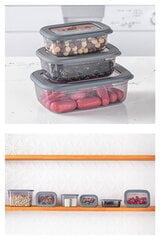 Hermia Concept maisto saugojimo indų rinkinys, 3 vnt. цена и информация | Посуда для хранения еды | pigu.lt